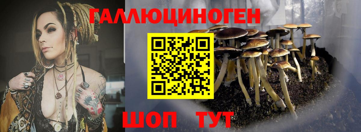 Псилоцибиновые грибы Psilocybe  Вход с VPN  продажа наркотиков  Новочебоксарск 